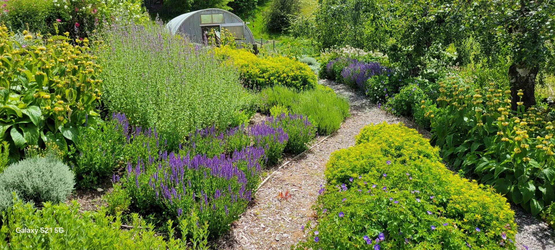 luxury landscaping