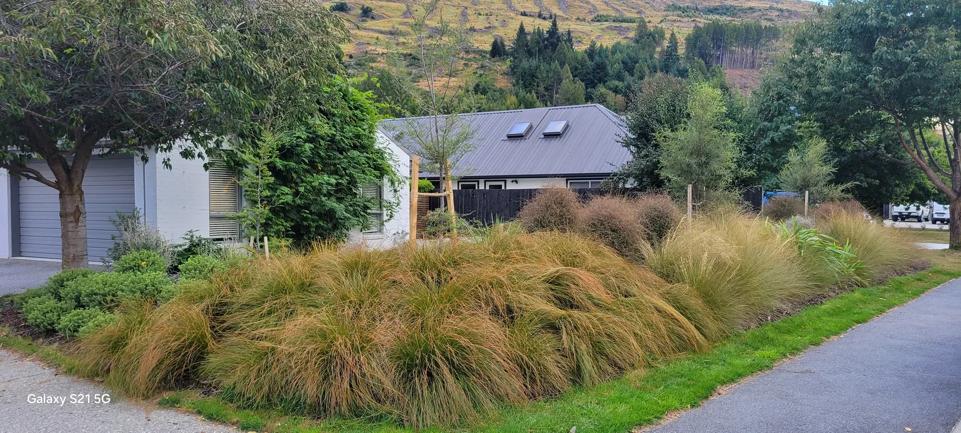 Luxury alpine garden featuring native planting and seating area