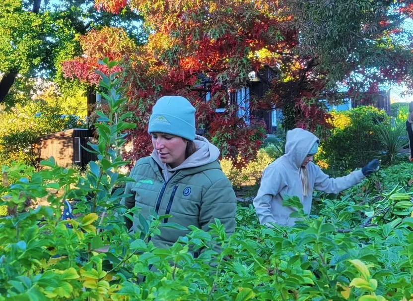 Queenstown Garden Maintenance