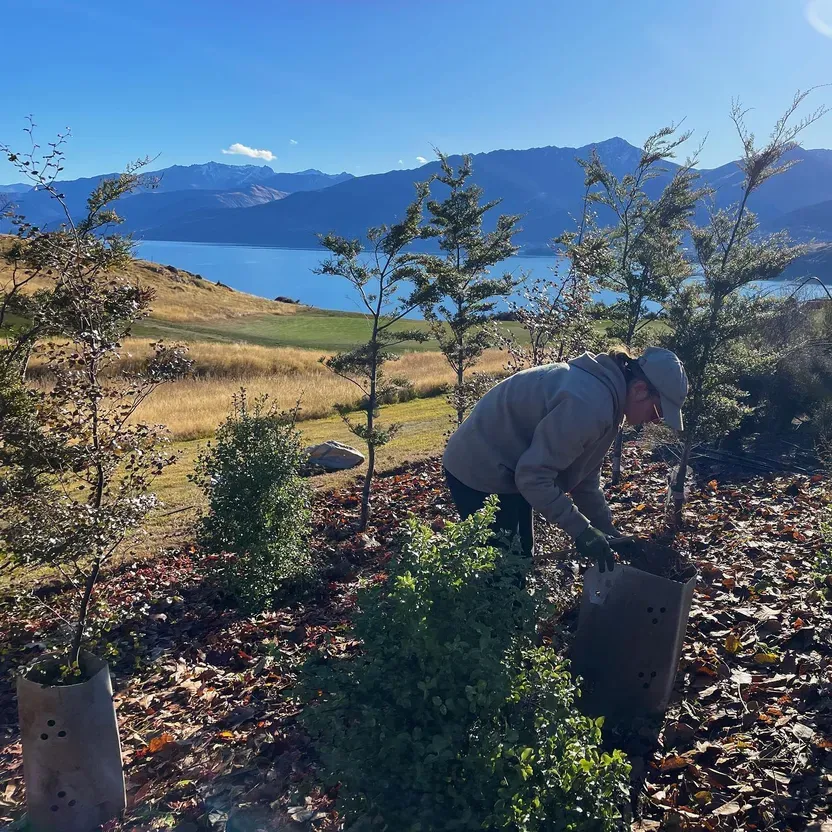 Team member working with view of lake wakatipu